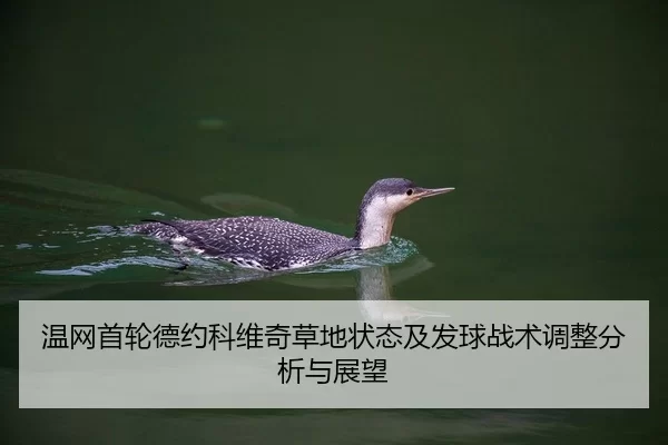 wen-wang-shou-lun-de-yue-ke-wei-qi-cao-di-zhuang-tai-ji-fa-qiu-zhan-shu-tiao-zheng-fen-xi-yu-zhan-wang-2-632.jpg