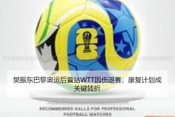 樊振东巴黎奥运后首站WTT因伤退赛，康复计划成关键转折
